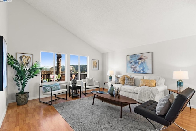 living room featuring high vaulted ceiling and hardwood / wood-style flooring