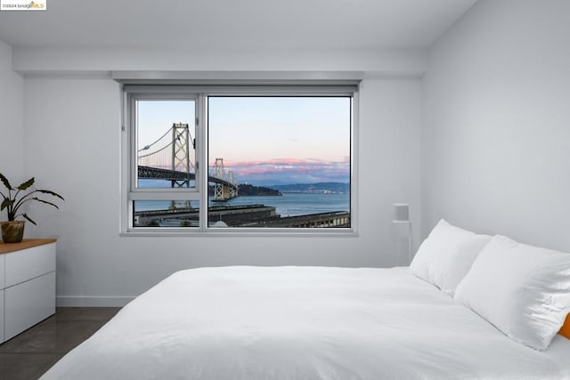 bedroom featuring multiple windows, dark tile patterned floors, and a water view