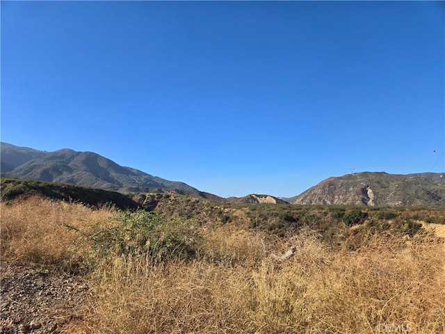 3144 Lytle Creek Rd, Lytle Creek, CA 92358 - photo 10