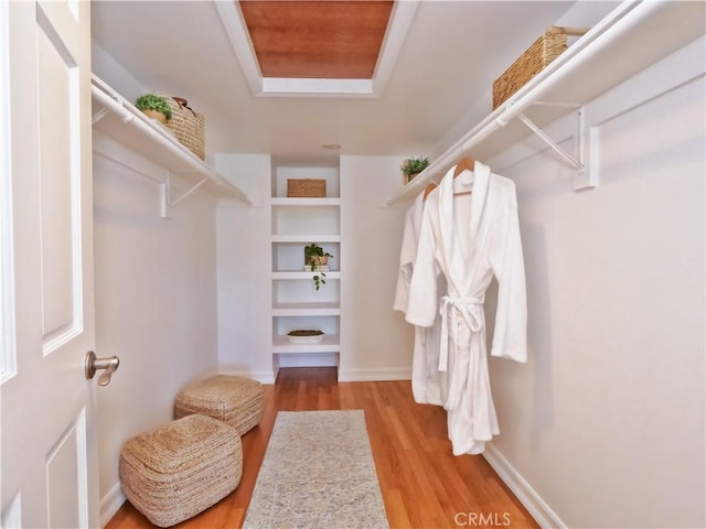 spacious closet with light wood-type flooring