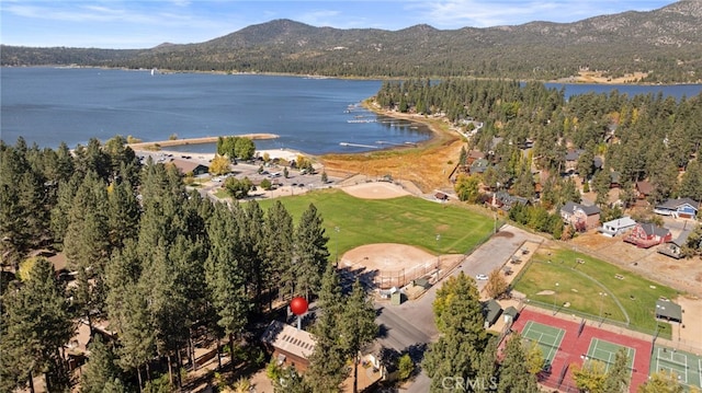 41307 Park Ave, Big Bear Lake, CA 92315 - photo 36