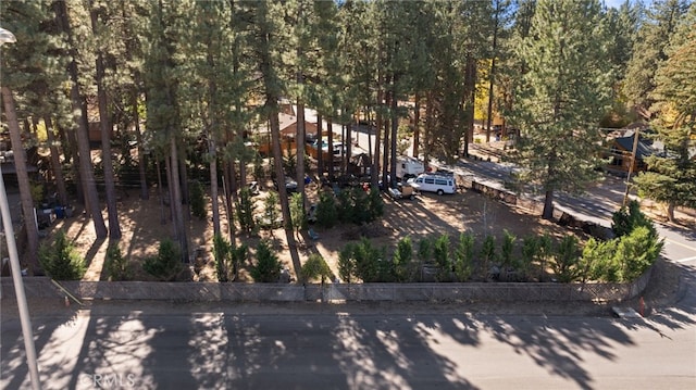 41307 Park Ave, Big Bear Lake, CA 92315 - photo 40