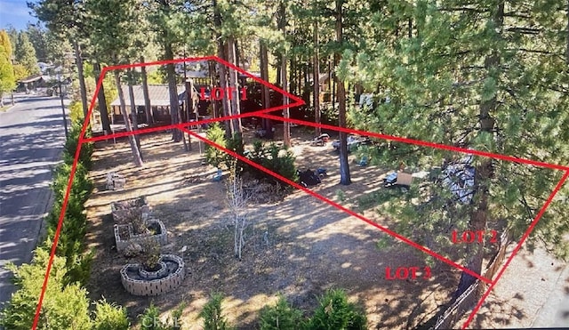 41307 Park Ave, Big Bear Lake, CA 92315 - photo 39