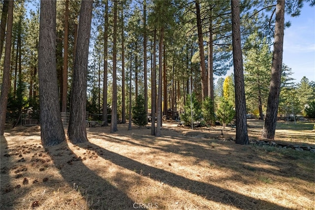 41307 Park Ave, Big Bear Lake, CA 92315 - photo 44