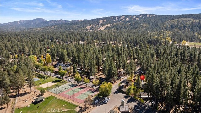 41307 Park Ave, Big Bear Lake, CA 92315 - photo 37
