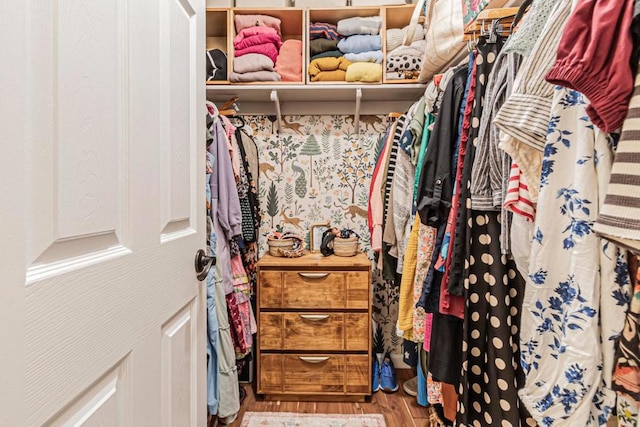 walk in closet featuring hardwood / wood-style floors