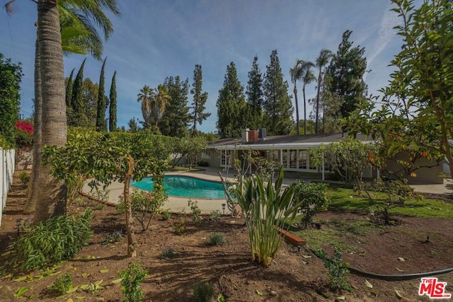 view of swimming pool featuring a patio