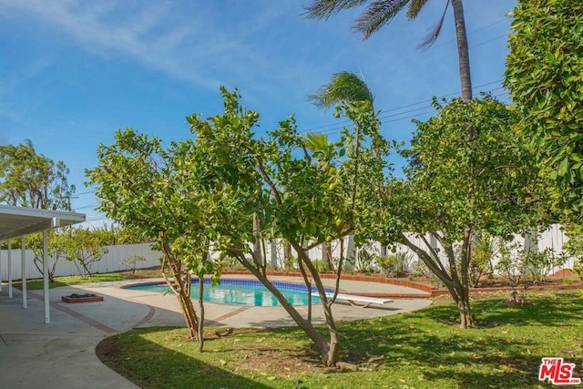 view of pool with a yard and a patio