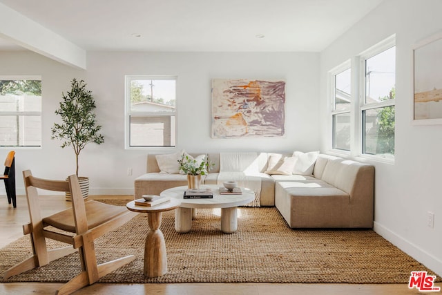 living room with hardwood / wood-style floors