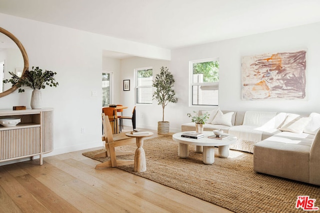 living room featuring hardwood / wood-style flooring