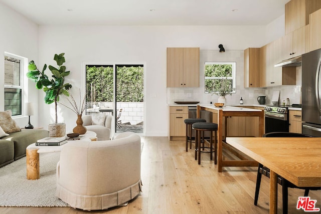 living room featuring light hardwood / wood-style flooring