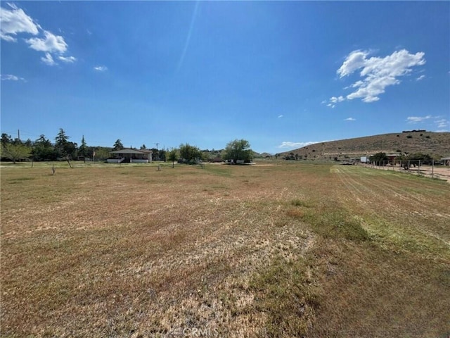 view of yard with a rural view