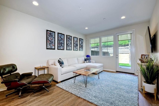 living room featuring hardwood / wood-style flooring