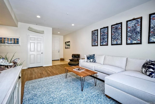 living room with wood-type flooring