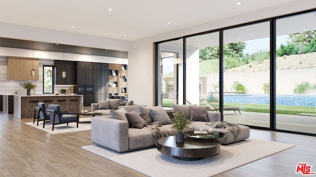 living room featuring light hardwood / wood-style flooring and a healthy amount of sunlight