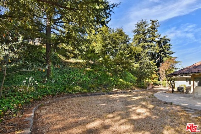 view of yard featuring a patio area