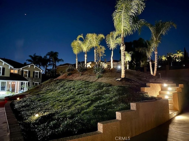 view of yard at night