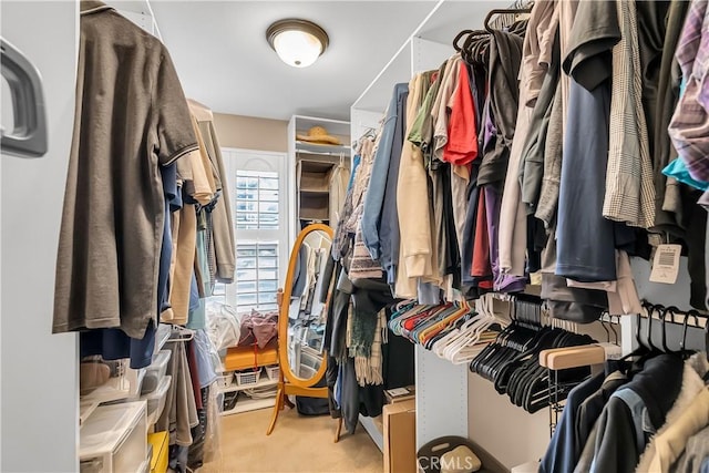 spacious closet featuring light carpet