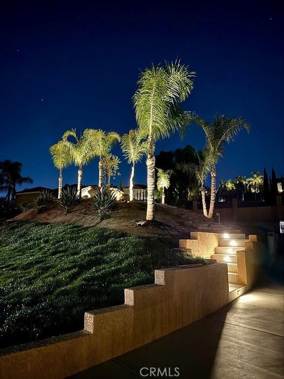 view of yard at night