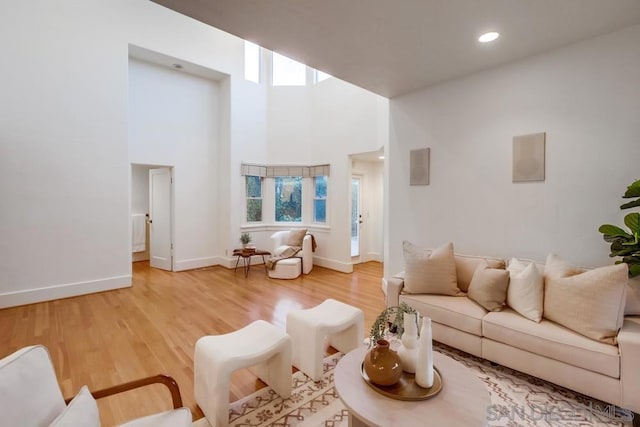 living room featuring wood-type flooring