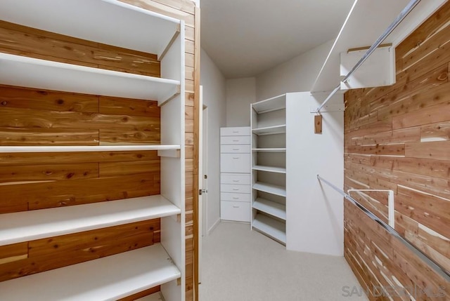 spacious closet with carpet