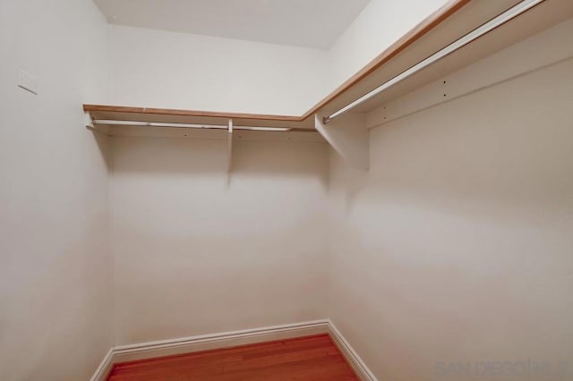 spacious closet featuring wood-type flooring