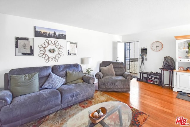 living room with wood-type flooring