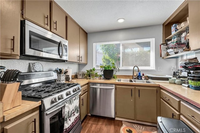 kitchen featuring dark hardwood / wood-style flooring, sink, stainless steel appliances, and wood counters