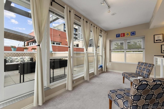 interior space with rail lighting and light colored carpet