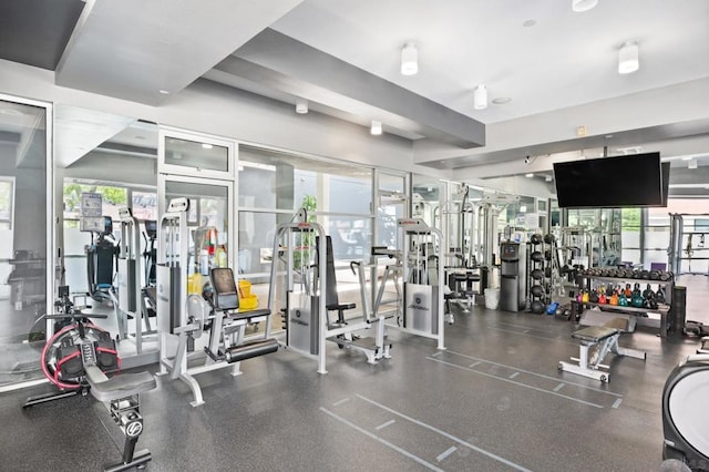 exercise room featuring a healthy amount of sunlight