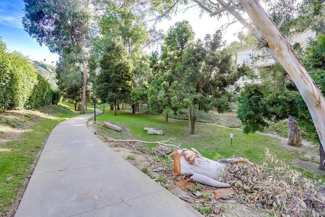 view of community featuring a lawn