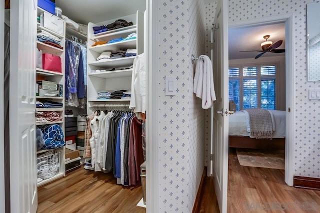 spacious closet featuring ceiling fan and light hardwood / wood-style floors