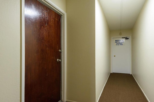 interior space featuring carpet