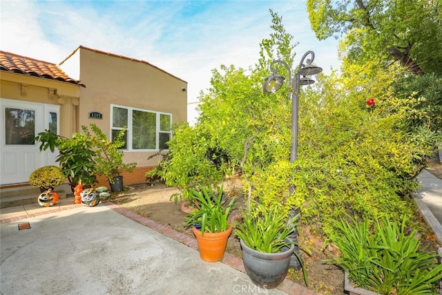 view of yard with a patio