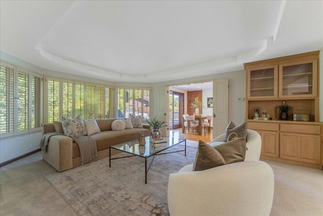 carpeted living room featuring a raised ceiling