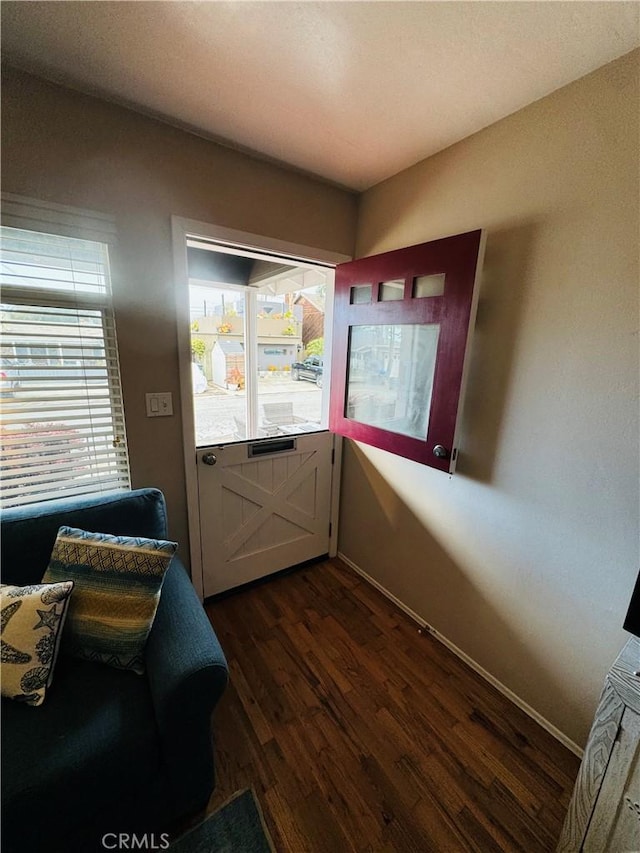 entryway featuring dark hardwood / wood-style flooring