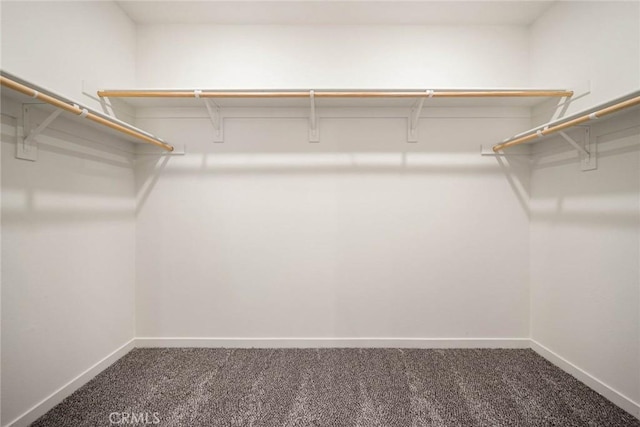 spacious closet featuring dark carpet