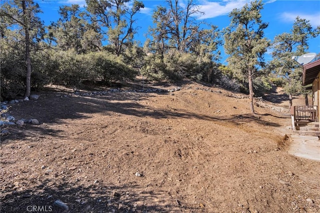 view of local wilderness