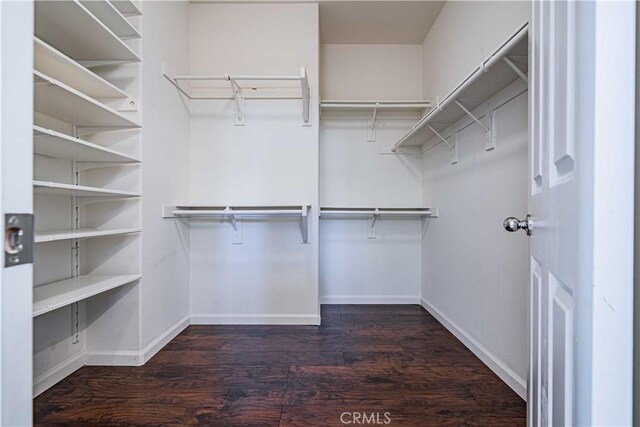 spacious closet featuring dark hardwood / wood-style floors