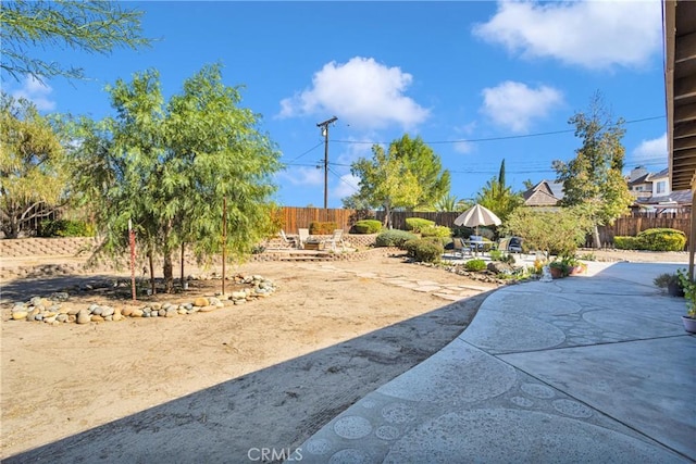 view of yard featuring a patio