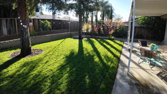 view of yard with a patio area