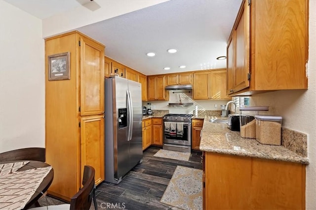 kitchen featuring appliances with stainless steel finishes, dark hardwood / wood-style floors, light stone counters, and sink