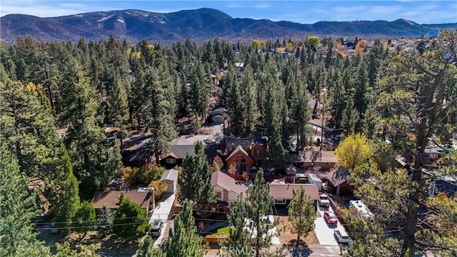 drone / aerial view featuring a mountain view