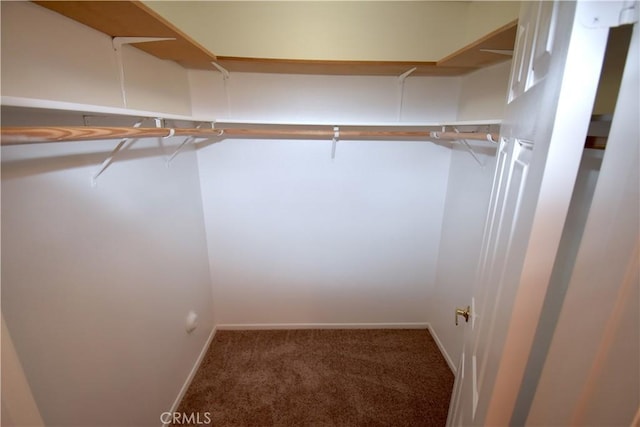 walk in closet with dark carpet