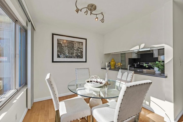 dining space with light hardwood / wood-style flooring