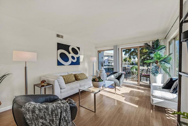 living room featuring hardwood / wood-style floors