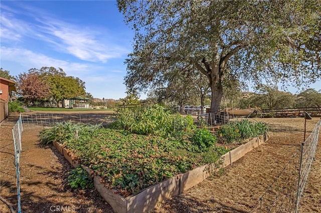 view of yard featuring a rural view