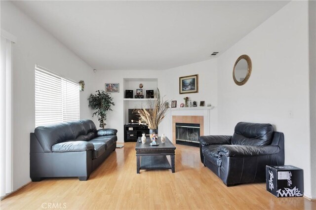 living room featuring a fireplace and wood-type flooring