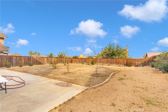 view of yard with a patio