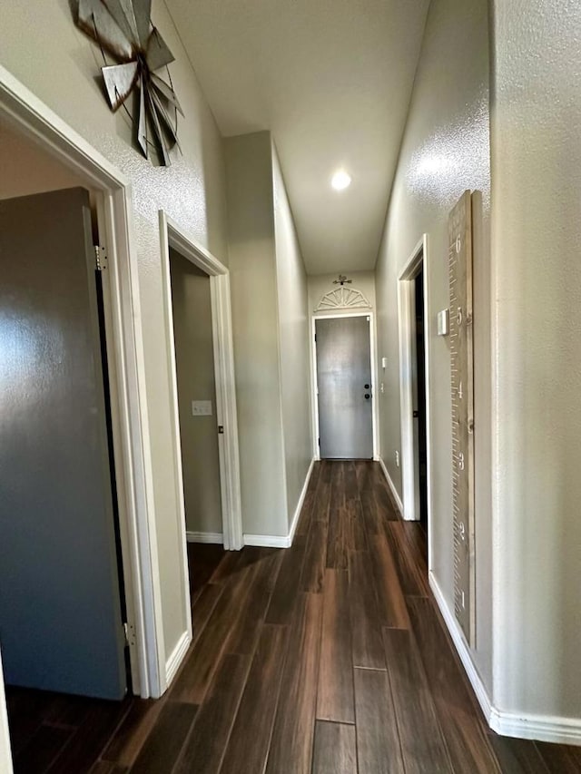 hallway featuring dark hardwood / wood-style flooring